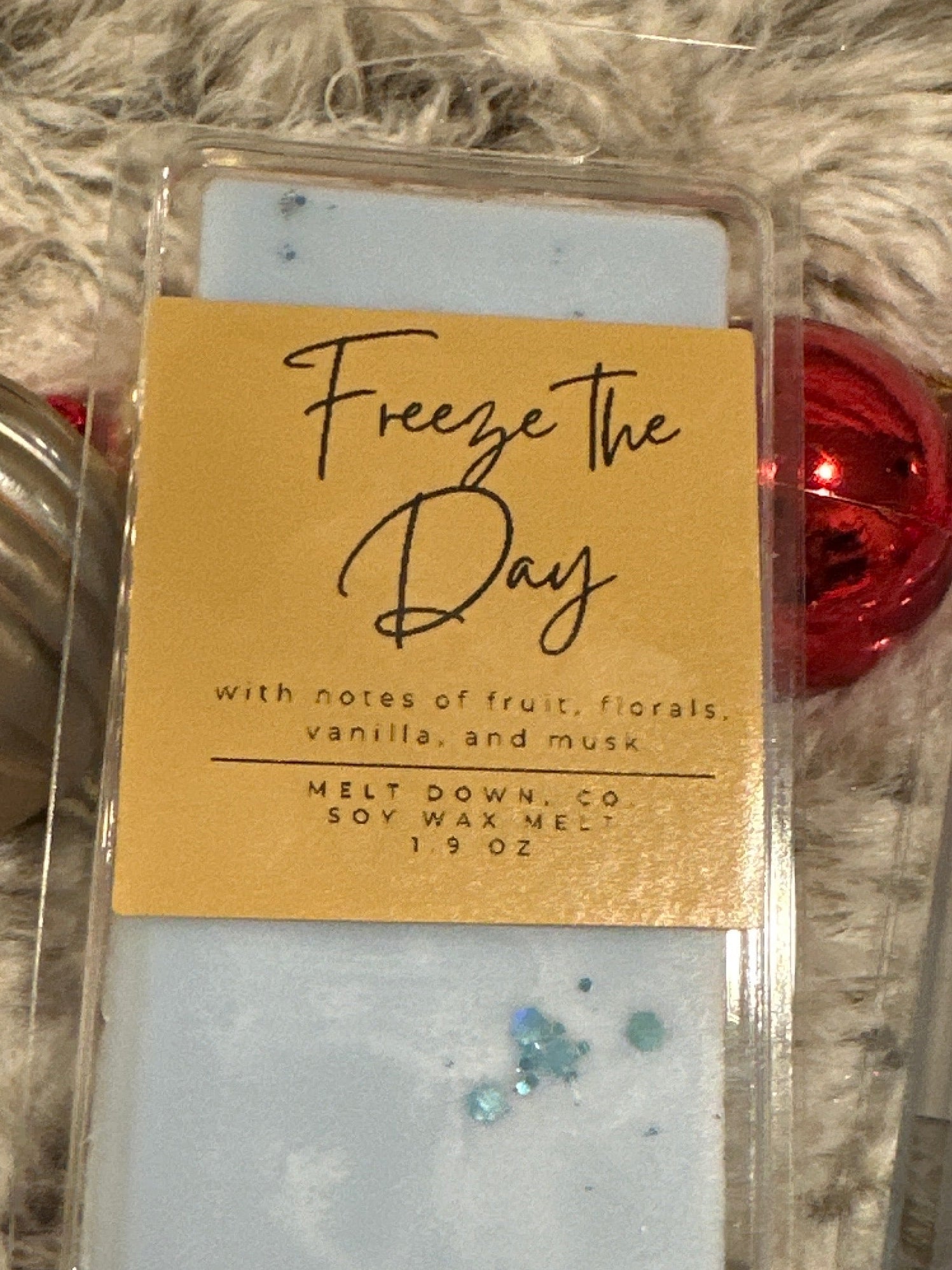 Freeze the Day
